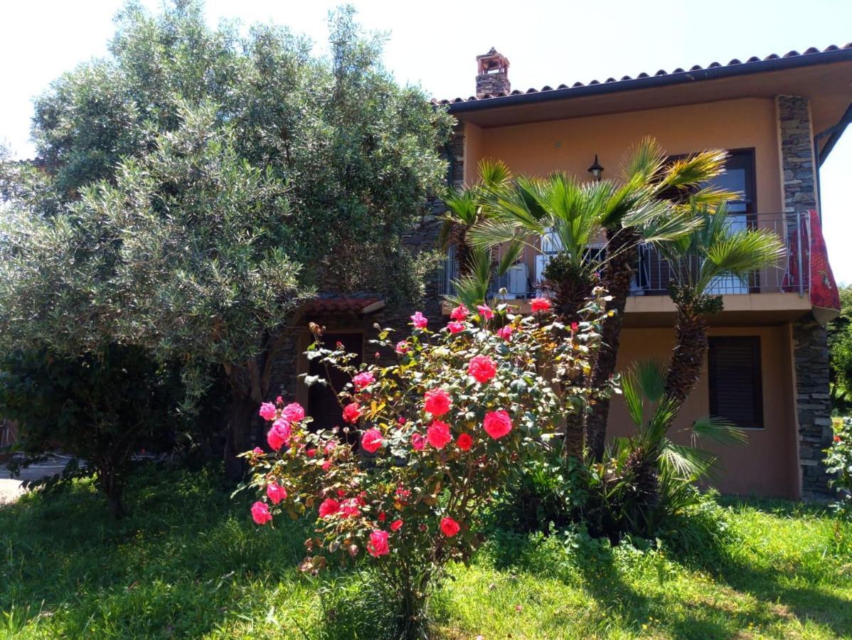 Viliam B&B Olbia Ngoại thất bức ảnh