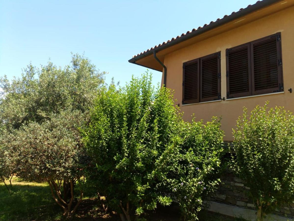 Viliam B&B Olbia Ngoại thất bức ảnh
